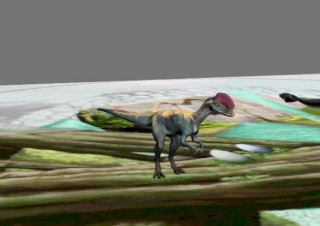 偷蛋龍 Oviraptor animation loop