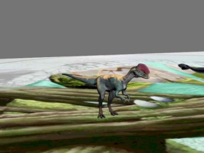 偷蛋龍 Oviraptor animation loop