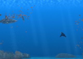 Comcast Center – Aquarium