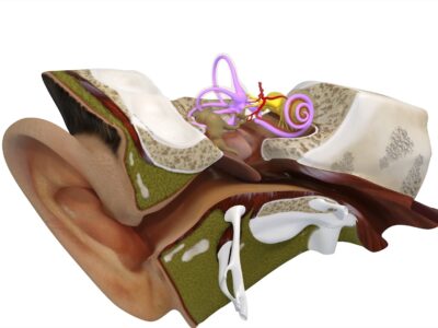 元景耳鼻喉科神經科診所